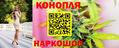 mdpv Шебекино