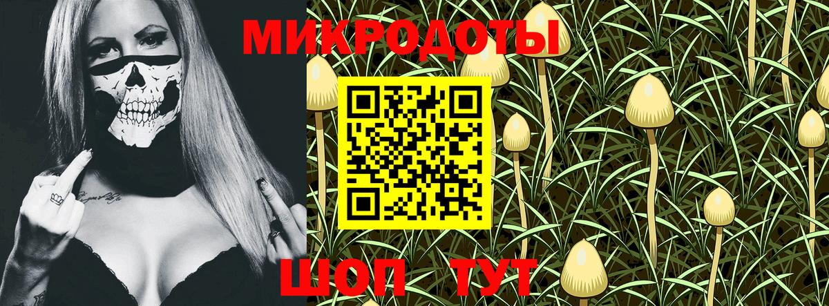 Галлюциногенные грибы Psilocybe  Вход с VPN  Псилоцибиновые грибы Magic Shrooms  Богородск 